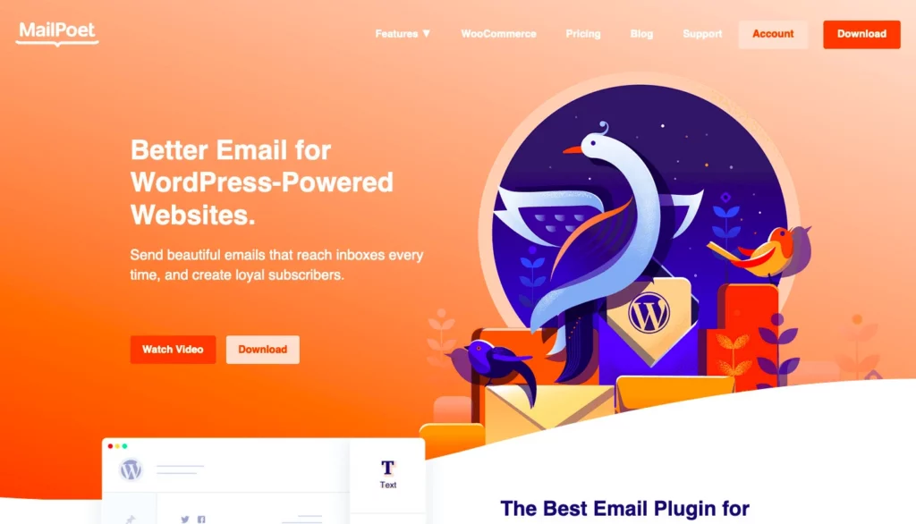 plugin WooCommerce untuk email marketing 