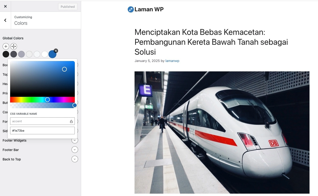 Cara Instal Tema di WordPress 5 Tampilan panel opsi pengaturan di tema WordPress